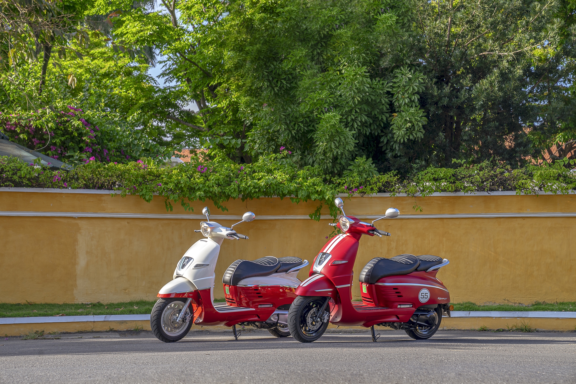 Peugeot Django – Mẫu scooter độc đáo đến từ nước Pháp - Ảnh 1.