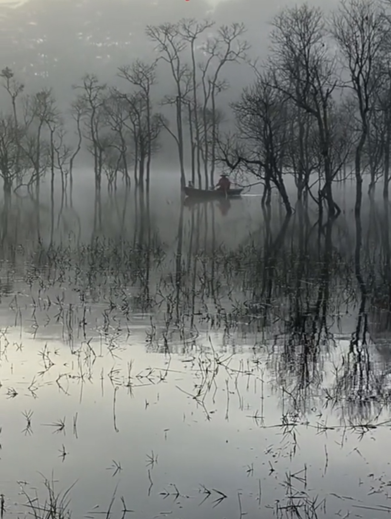 Du khách "giật mình" tưởng lạc vào bối cảnh phim kinh dị, hóa ra lại là điểm check-in mới nổi tại Đà Lạt- Ảnh 1. Du khách "giật mình" tưởng lạc vào bối cảnh phim kinh dị, hóa ra lại là điểm check-in mới nổi tại Đà Lạt- Ảnh 1.