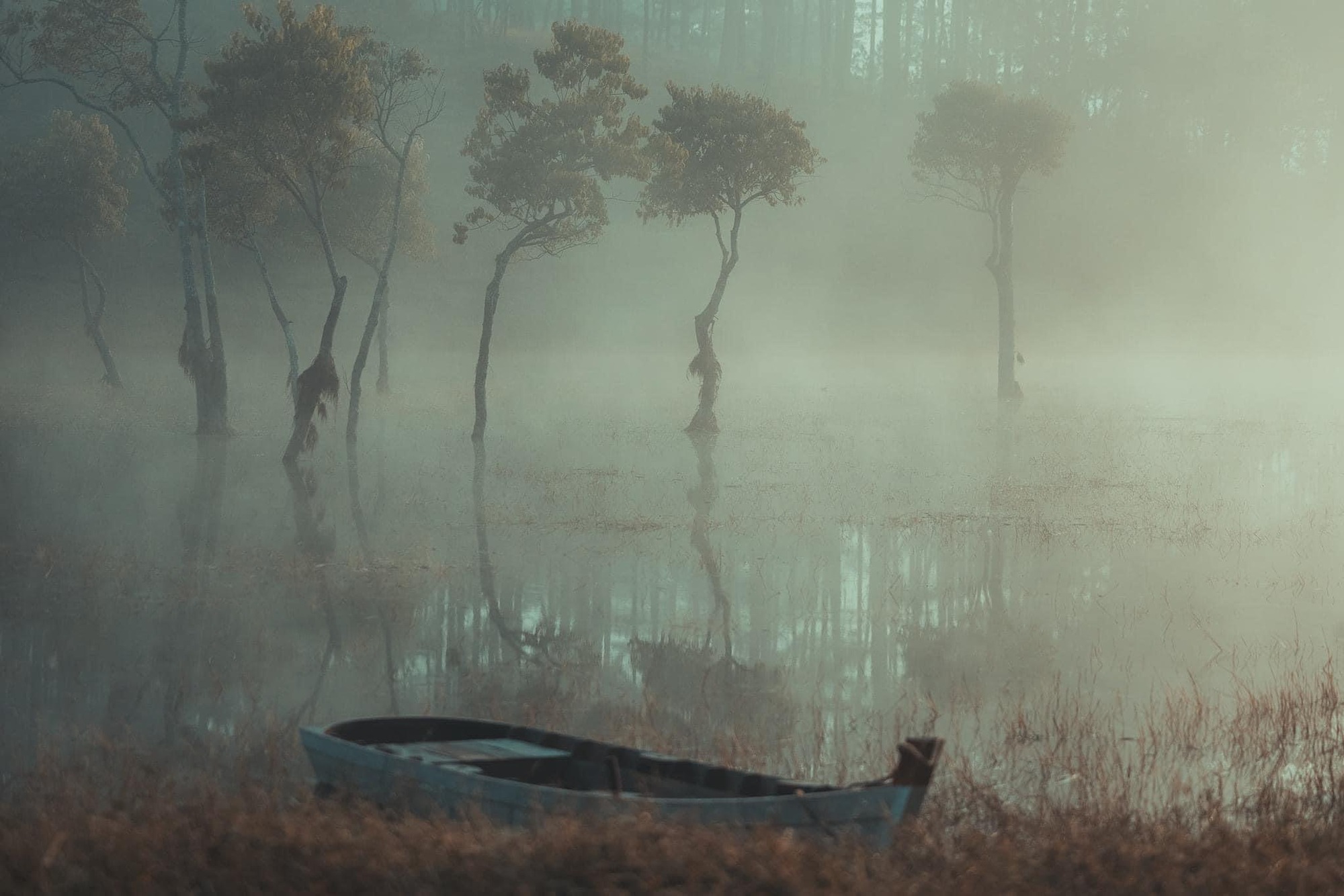 Du khách "giật mình" tưởng lạc vào bối cảnh phim kinh dị, hóa ra lại là điểm check-in mới nổi tại Đà Lạt- Ảnh 10. Du khách "giật mình" tưởng lạc vào bối cảnh phim kinh dị, hóa ra lại là điểm check-in mới nổi tại Đà Lạt- Ảnh 10.