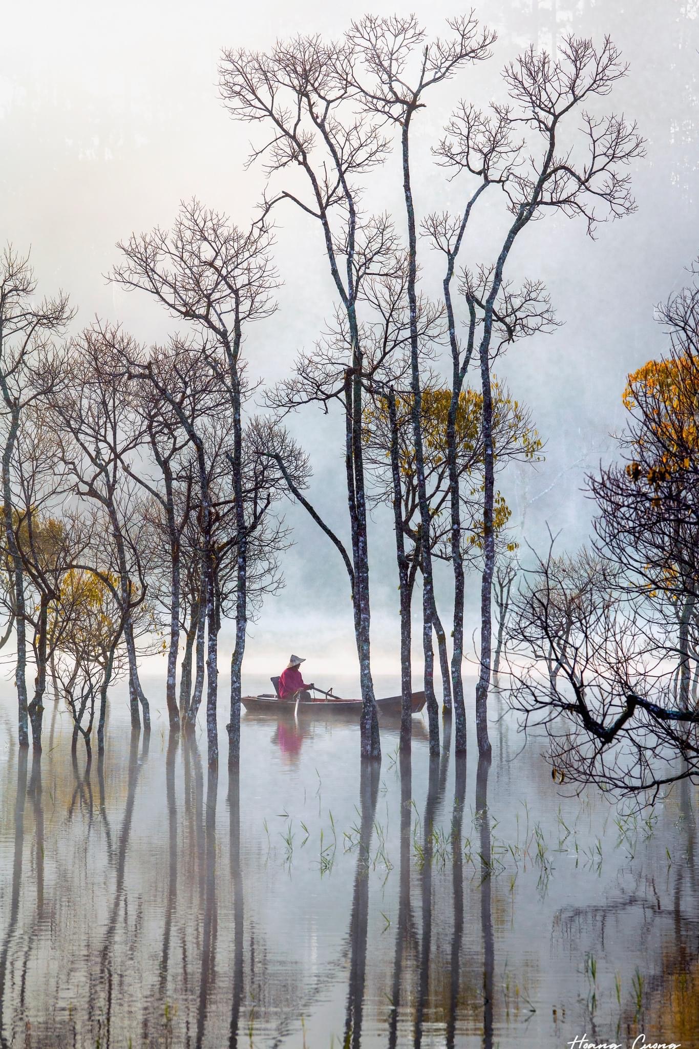 Du khách "giật mình" tưởng lạc vào bối cảnh phim kinh dị, hóa ra lại là điểm check-in mới nổi tại Đà Lạt- Ảnh 8. Du khách "giật mình" tưởng lạc vào bối cảnh phim kinh dị, hóa ra lại là điểm check-in mới nổi tại Đà Lạt- Ảnh 8.