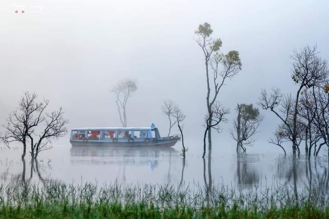 Du khách "giật mình" tưởng lạc vào bối cảnh phim kinh dị, hóa ra lại là điểm check-in mới nổi tại Đà Lạt- Ảnh 15. Du khách "giật mình" tưởng lạc vào bối cảnh phim kinh dị, hóa ra lại là điểm check-in mới nổi tại Đà Lạt- Ảnh 15.