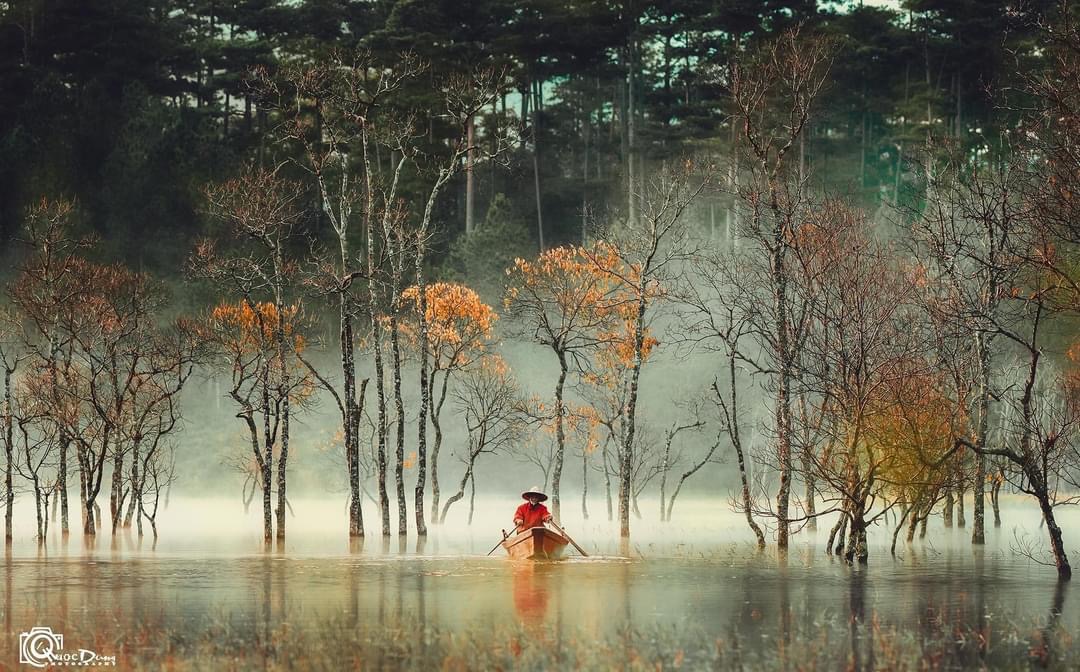 Du khách "giật mình" tưởng lạc vào bối cảnh phim kinh dị, hóa ra lại là điểm check-in mới nổi tại Đà Lạt- Ảnh 6. Du khách "giật mình" tưởng lạc vào bối cảnh phim kinh dị, hóa ra lại là điểm check-in mới nổi tại Đà Lạt- Ảnh 6.