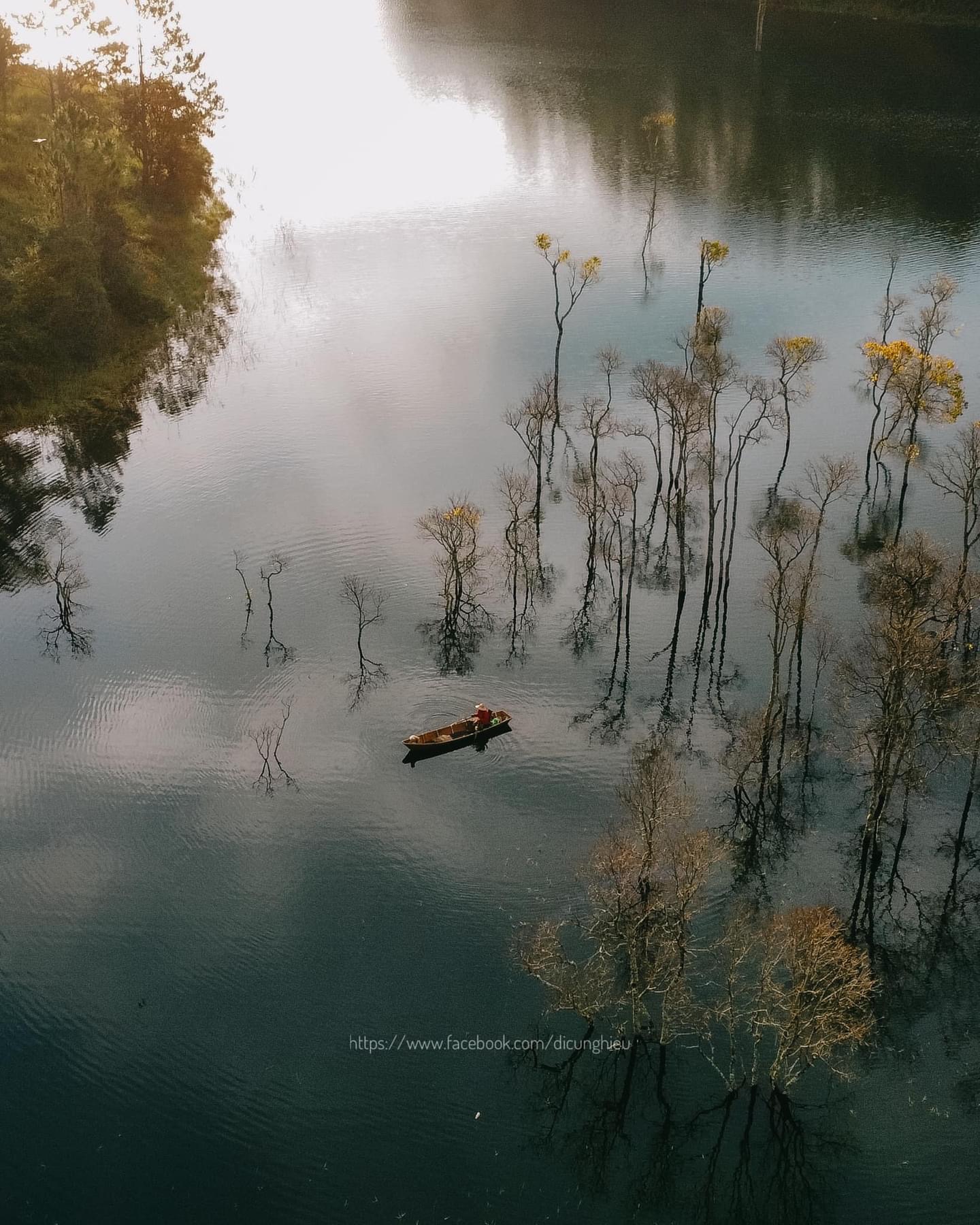 Du khách "giật mình" tưởng lạc vào bối cảnh phim kinh dị, hóa ra lại là điểm check-in mới nổi tại Đà Lạt- Ảnh 4. Du khách "giật mình" tưởng lạc vào bối cảnh phim kinh dị, hóa ra lại là điểm check-in mới nổi tại Đà Lạt- Ảnh 4.