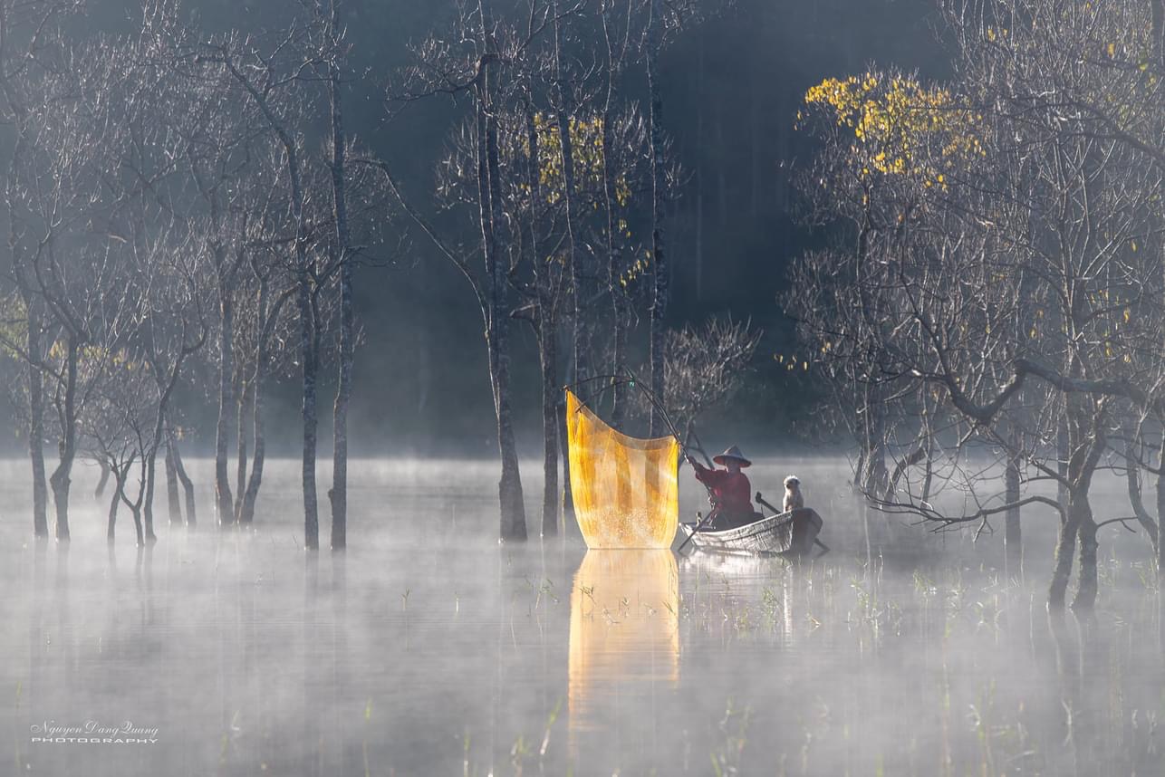 Du khách "giật mình" tưởng lạc vào bối cảnh phim kinh dị, hóa ra lại là điểm check-in mới nổi tại Đà Lạt- Ảnh 12. Du khách "giật mình" tưởng lạc vào bối cảnh phim kinh dị, hóa ra lại là điểm check-in mới nổi tại Đà Lạt- Ảnh 12.