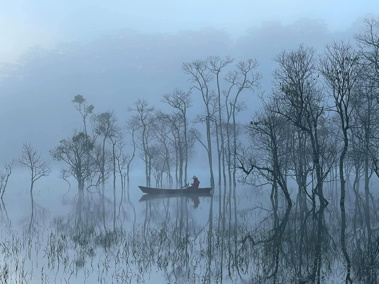 Du khách "giật mình" tưởng lạc vào bối cảnh phim kinh dị, hóa ra lại là điểm check-in mới nổi tại Đà Lạt- Ảnh 11. Du khách "giật mình" tưởng lạc vào bối cảnh phim kinh dị, hóa ra lại là điểm check-in mới nổi tại Đà Lạt- Ảnh 11.