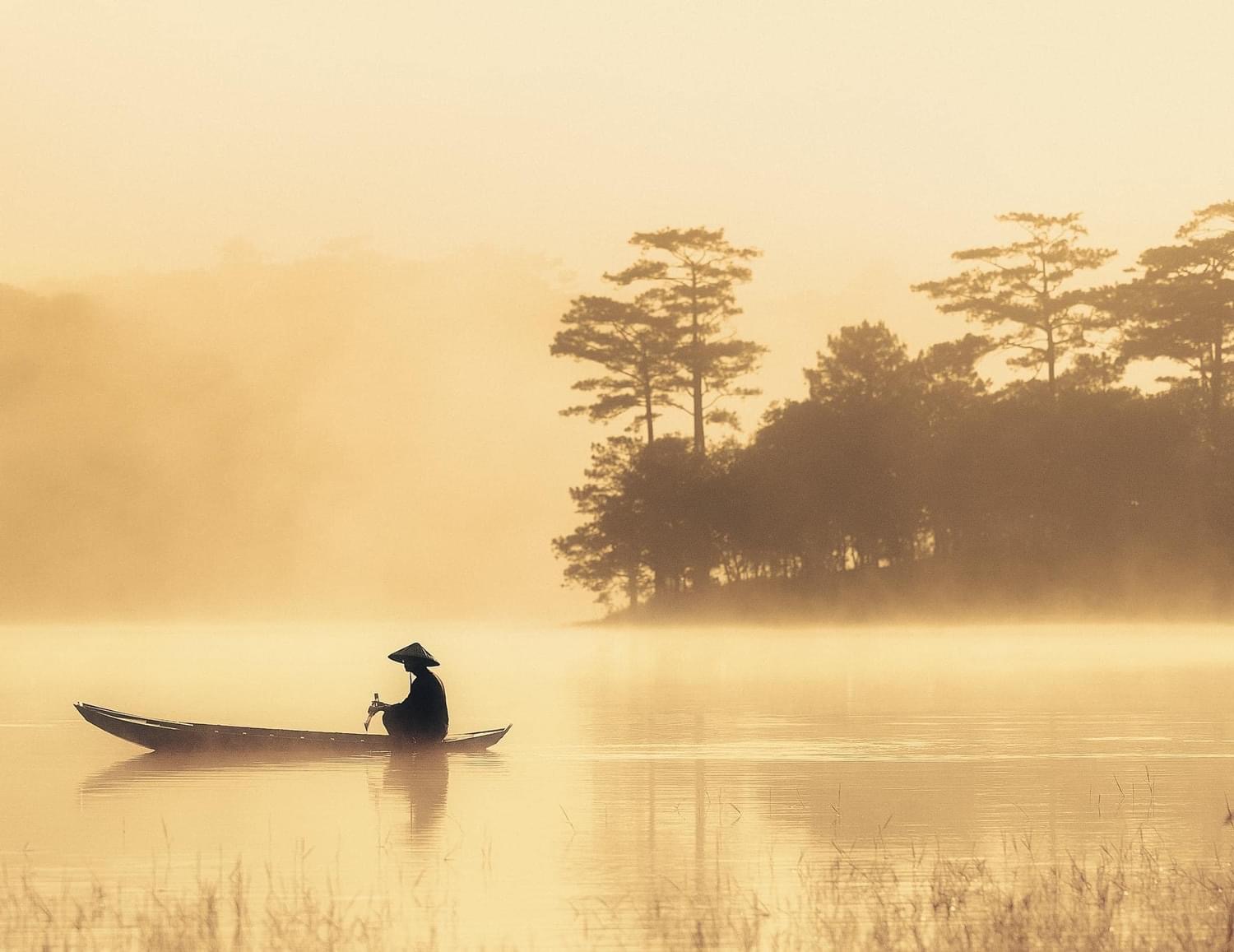 Du khách "giật mình" tưởng lạc vào bối cảnh phim kinh dị, hóa ra lại là điểm check-in mới nổi tại Đà Lạt- Ảnh 13. Du khách "giật mình" tưởng lạc vào bối cảnh phim kinh dị, hóa ra lại là điểm check-in mới nổi tại Đà Lạt- Ảnh 13.