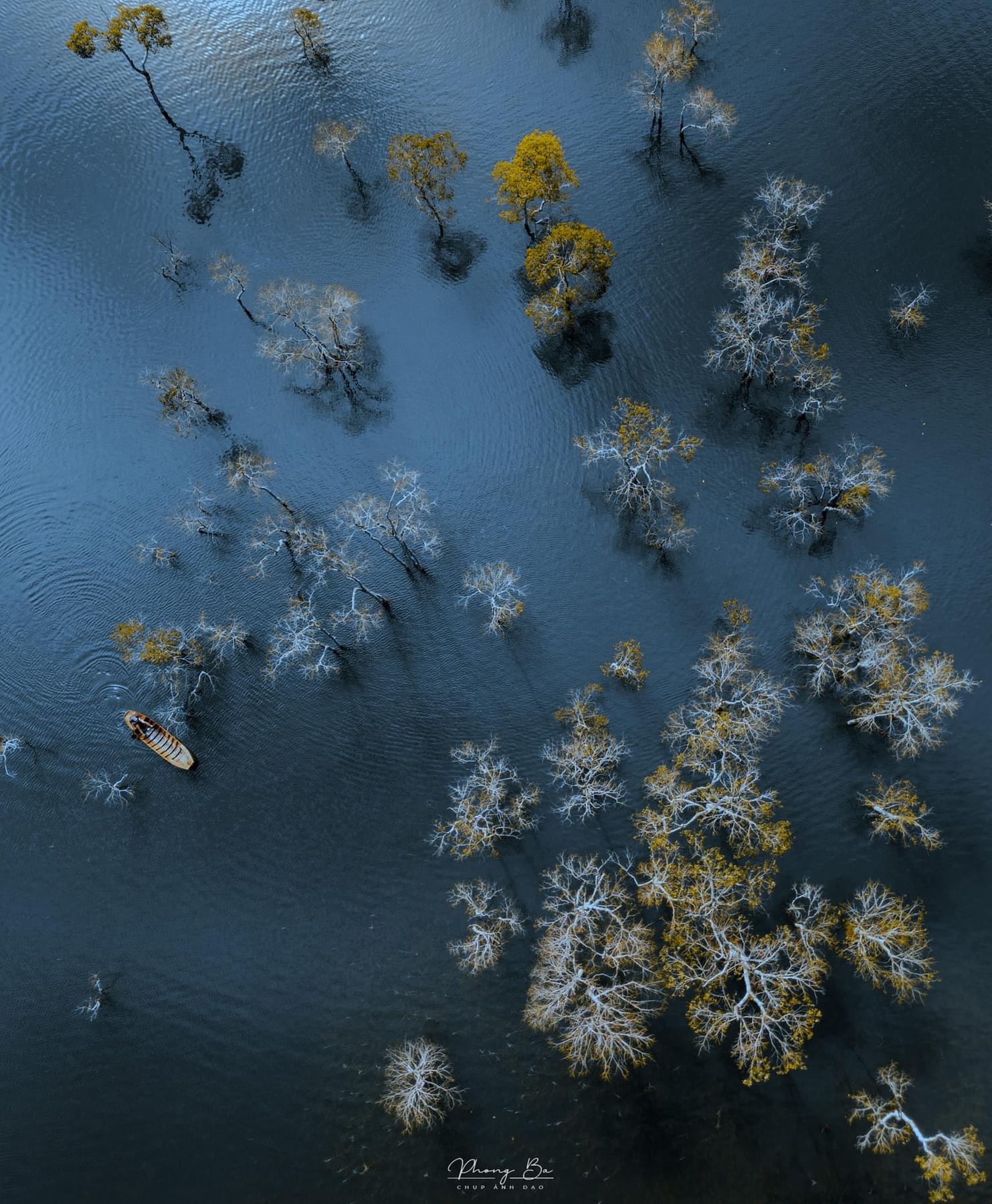 Du khách "giật mình" tưởng lạc vào bối cảnh phim kinh dị, hóa ra lại là điểm check-in mới nổi tại Đà Lạt- Ảnh 5. Du khách "giật mình" tưởng lạc vào bối cảnh phim kinh dị, hóa ra lại là điểm check-in mới nổi tại Đà Lạt- Ảnh 5.