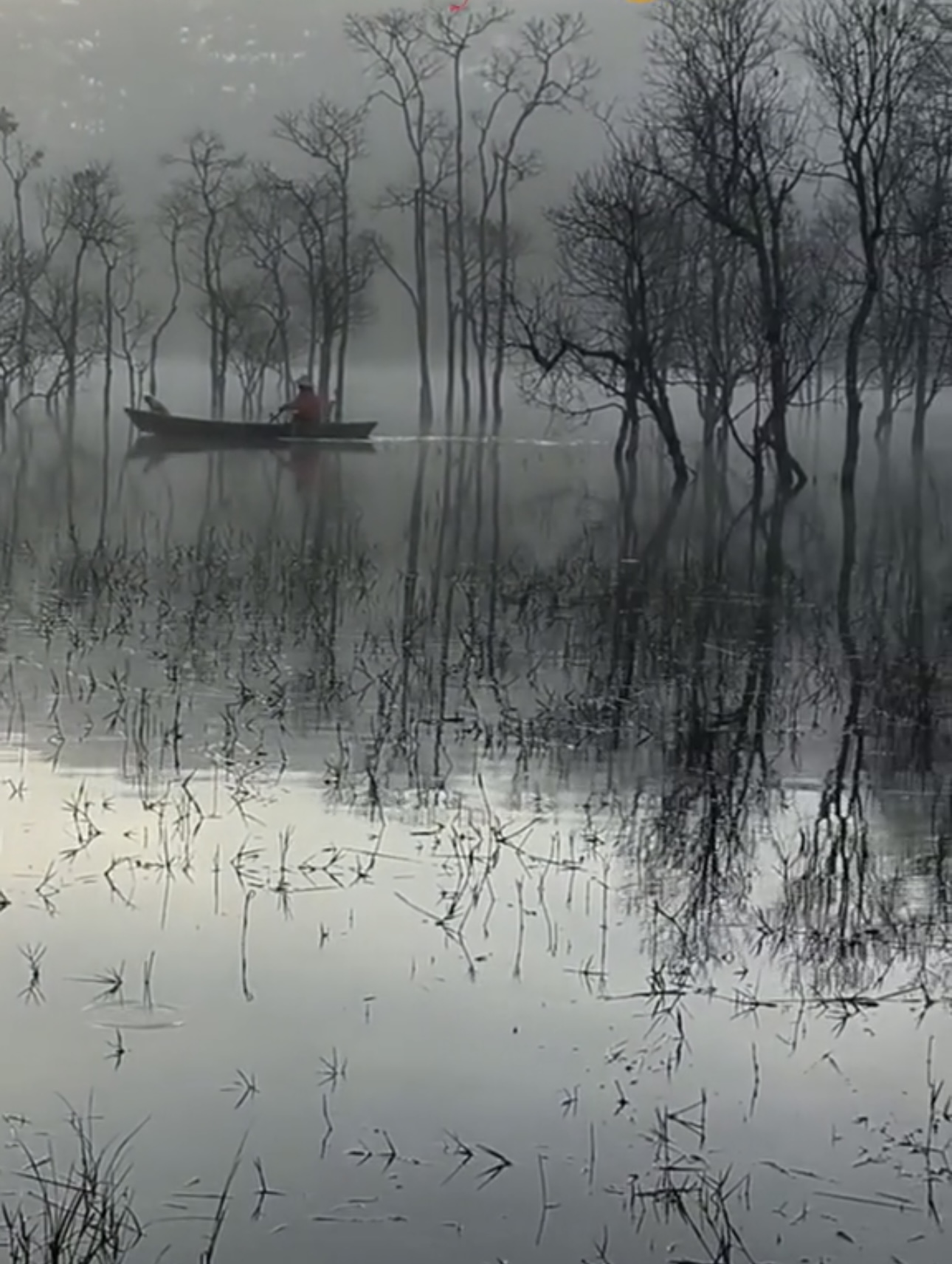 Du khách "giật mình" tưởng lạc vào bối cảnh phim kinh dị, hóa ra lại là điểm check-in mới nổi tại Đà Lạt- Ảnh 2. Du khách "giật mình" tưởng lạc vào bối cảnh phim kinh dị, hóa ra lại là điểm check-in mới nổi tại Đà Lạt- Ảnh 2.