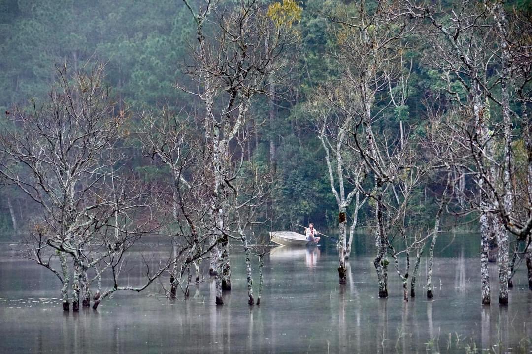 Du khách "giật mình" tưởng lạc vào bối cảnh phim kinh dị, hóa ra lại là điểm check-in mới nổi tại Đà Lạt- Ảnh 9. Du khách "giật mình" tưởng lạc vào bối cảnh phim kinh dị, hóa ra lại là điểm check-in mới nổi tại Đà Lạt- Ảnh 9.