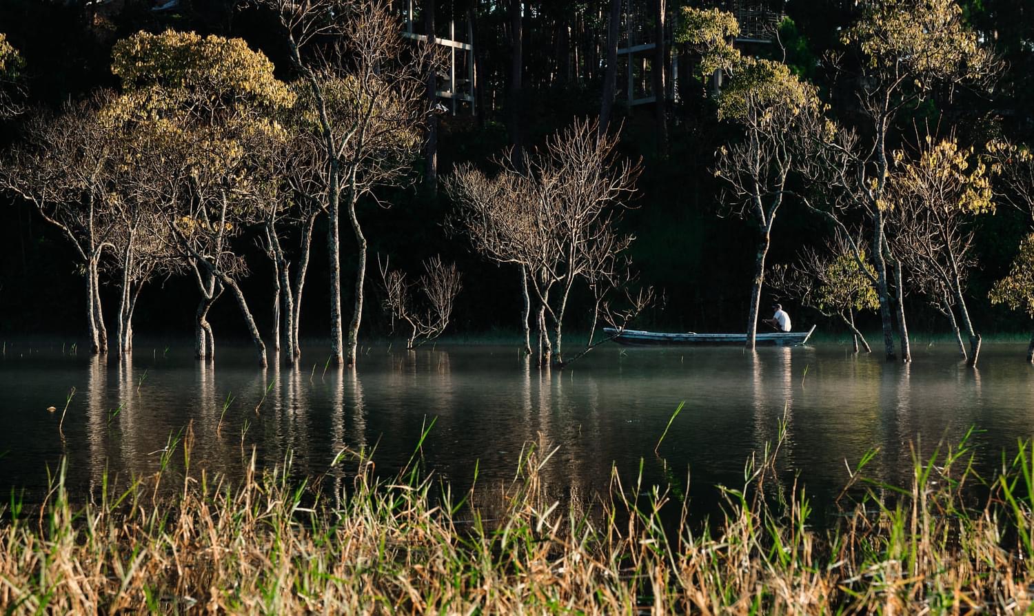 Du khách "giật mình" tưởng lạc vào bối cảnh phim kinh dị, hóa ra lại là điểm check-in mới nổi tại Đà Lạt- Ảnh 7. Du khách "giật mình" tưởng lạc vào bối cảnh phim kinh dị, hóa ra lại là điểm check-in mới nổi tại Đà Lạt- Ảnh 7.