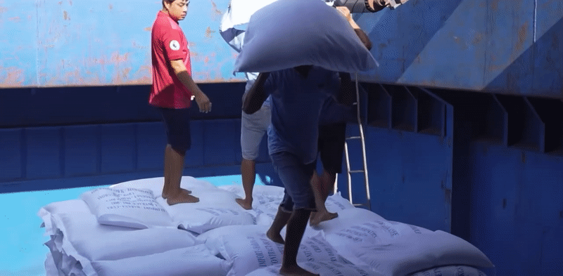 Huy Khánh chật vật làm bốc vác mưu sinh tại Đồng Tháp, Tiến Luật suýt bị chấn thương trật cổ- Ảnh 3.