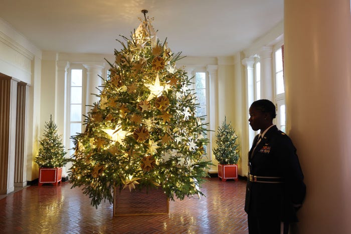 Đệ nhất phu nhân trang hoàng Nhà Trắng đón Giáng sinh: Giăng hơn 140,000 bóng đèn, tậu 98 cây thông gây choáng ngợp- Ảnh 4.