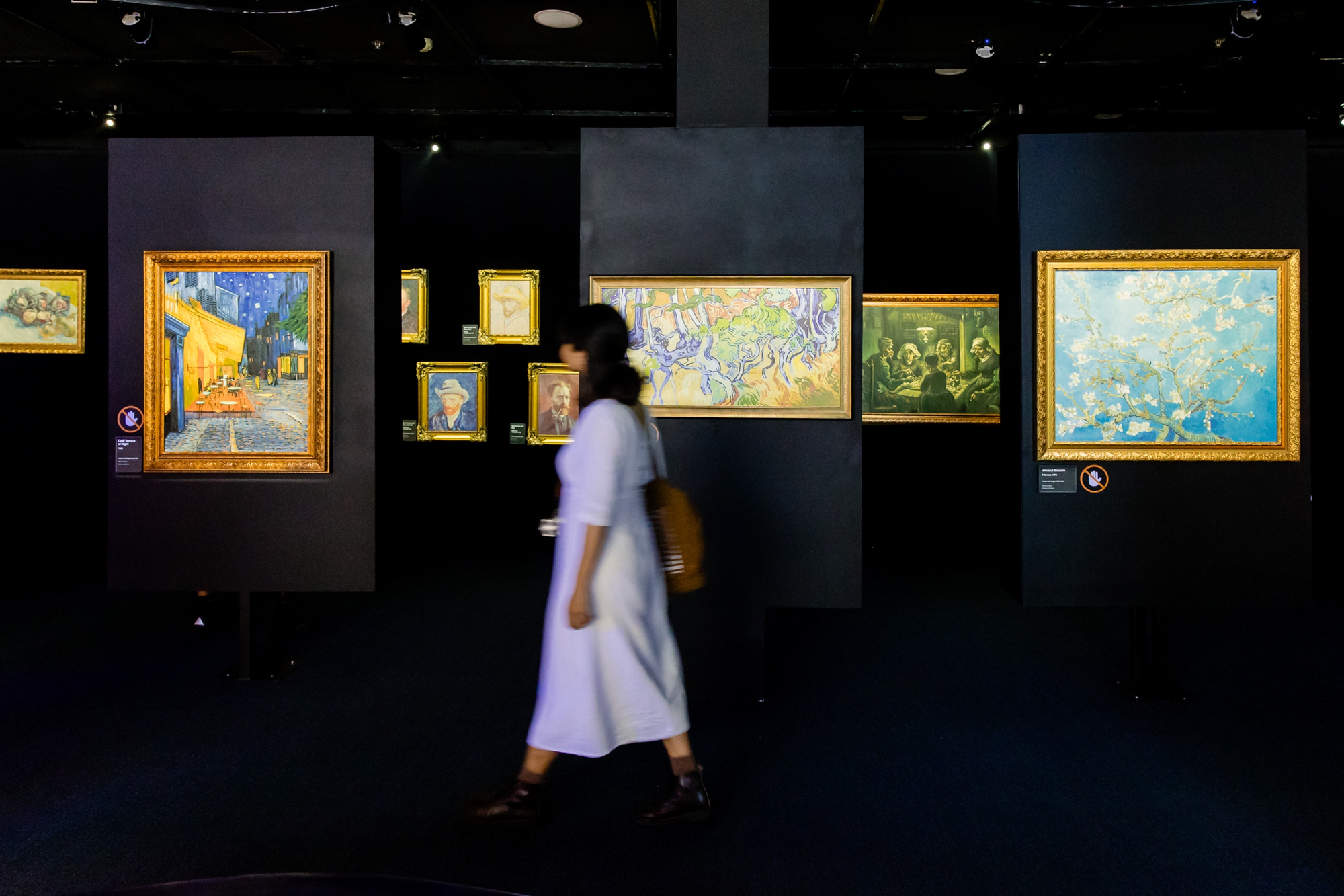 Review triển lãm Van Gogh đầu tiên tại Việt Nam, mọi thứ hoàn toàn khác với mọi nơi trên thế giới?- Ảnh 15.