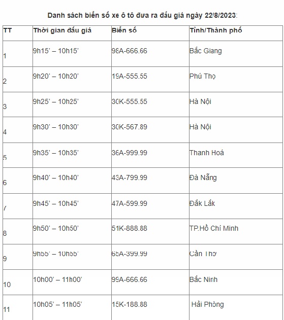 11 biển số xe 'siêu đẹp' liệu có thu tiền tỷ trong phiên đấu giá đầu tiên? - Ảnh 1.