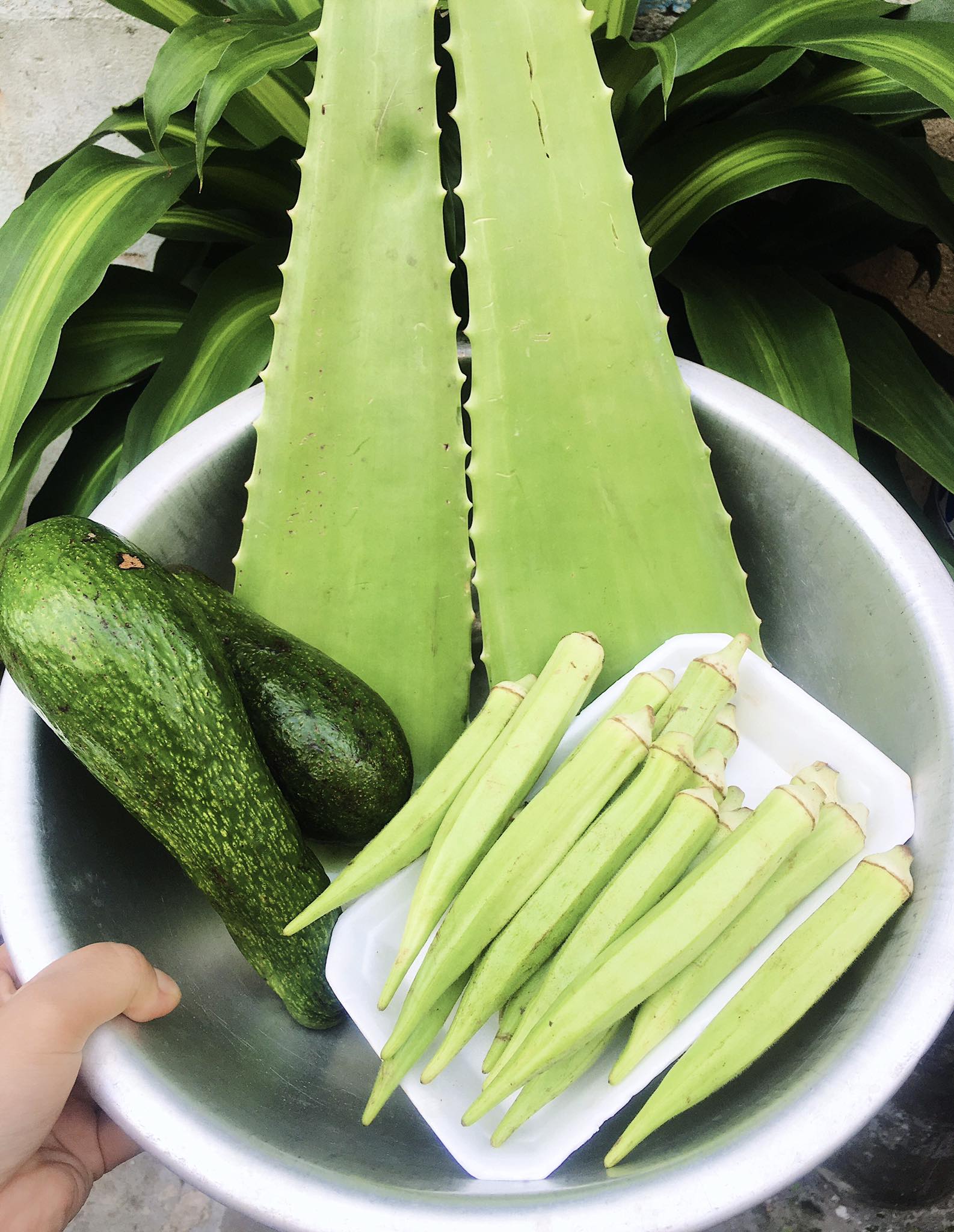 Dưỡng - Ảnh 4.