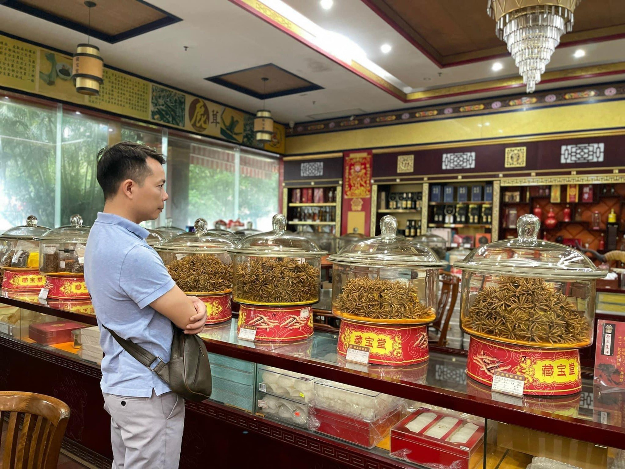 Bác sĩ Bùi Đức Trọng - Áp dụng y học cổ truyền để giúp bệnh nhân thoát khỏi nỗi ám ảnh bệnh tật - Ảnh 3.