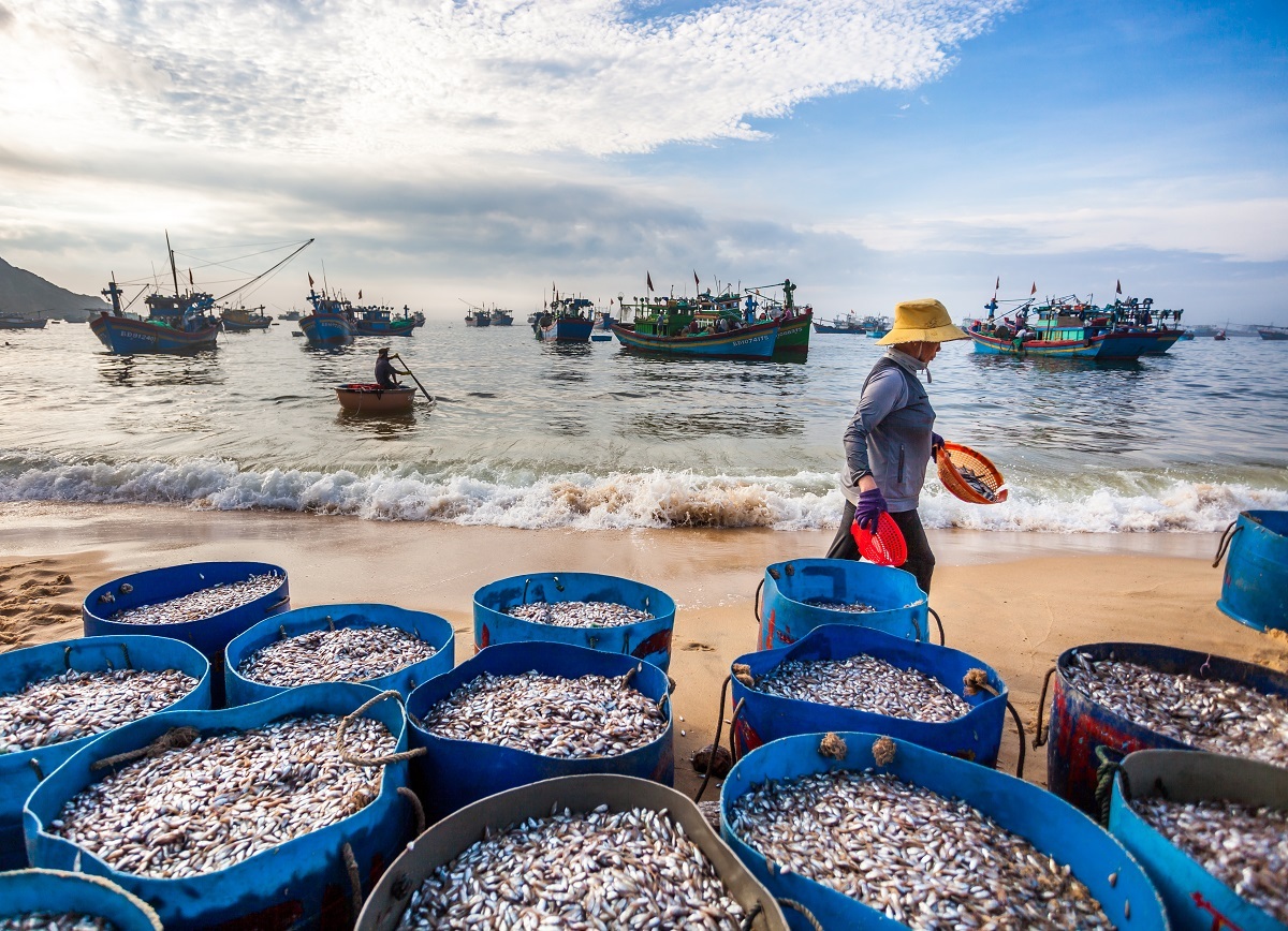 Đây sẽ là trung tâm kinh tế biển của Việt Nam, GRDP bình quân đầu người dẫn đầu khu vực miền Trung - Ảnh 2.