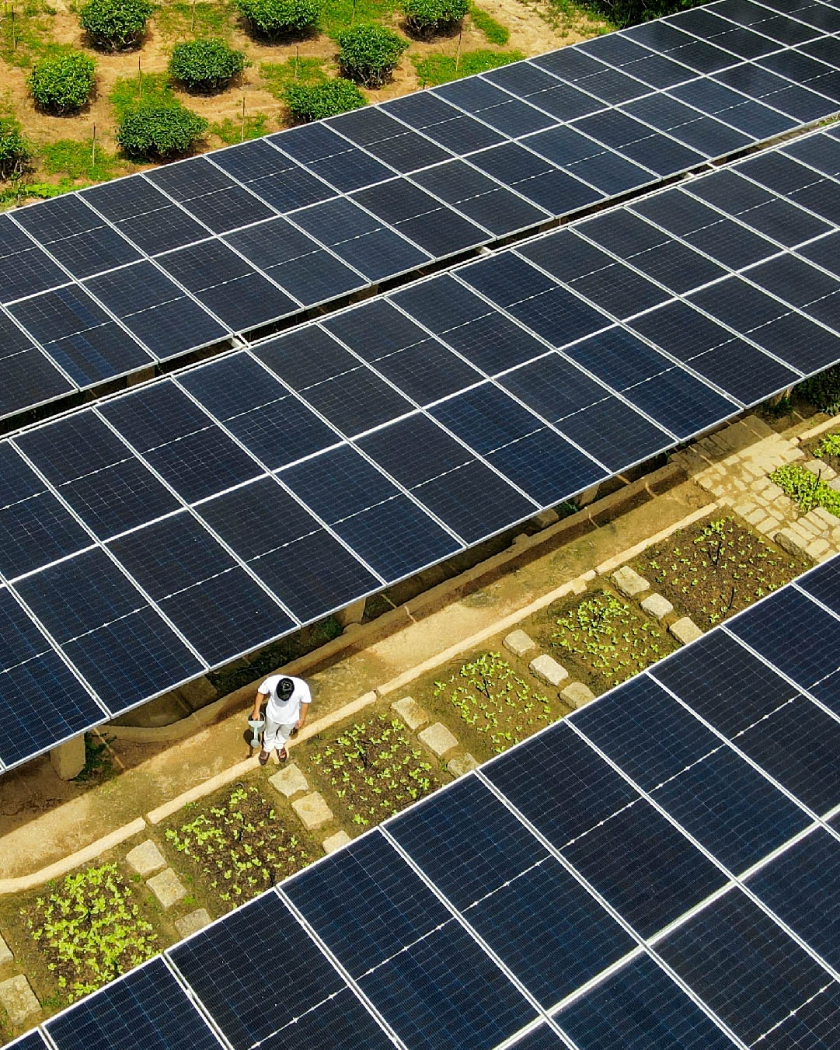 Nơi đặc biệt bên bờ Vịnh Ninh Vân: Mỗi trải nghiệm là một hành động đáp đền Mẹ Thiên Nhiên - Ảnh 4. Nơi đặc biệt bên bờ Vịnh Ninh Vân: Mỗi trải nghiệm là một hành động đáp đền Mẹ Thiên Nhiên - Ảnh 4.