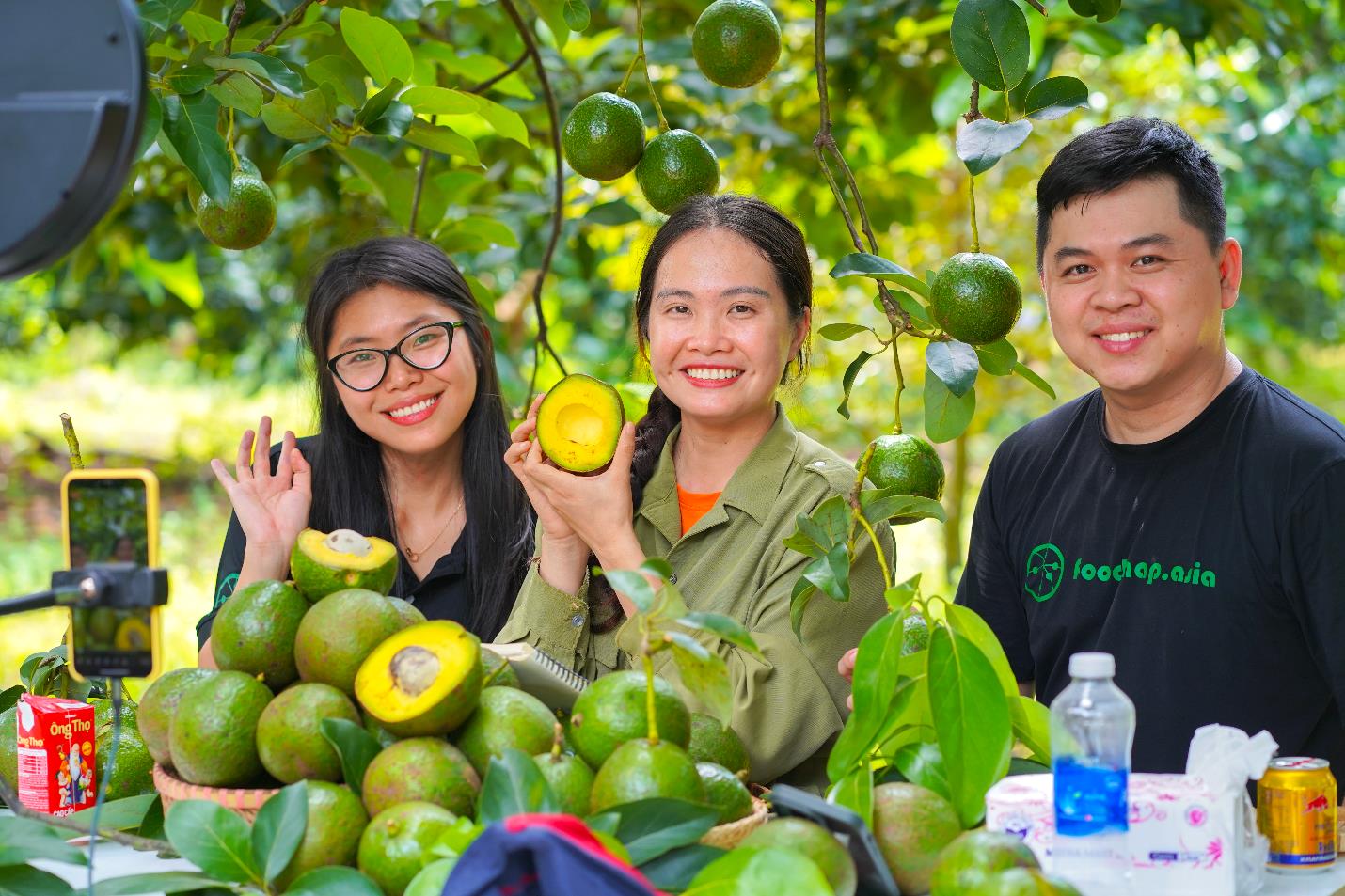 Tham quan vườn bơ trĩu quả, ăn thử món “bơ sữa” dẻo thơm cùng Hana Ban Mê - Ảnh 3. Tham quan vườn bơ trĩu quả, ăn thử món “bơ sữa” dẻo thơm cùng Hana Ban Mê - Ảnh 3.