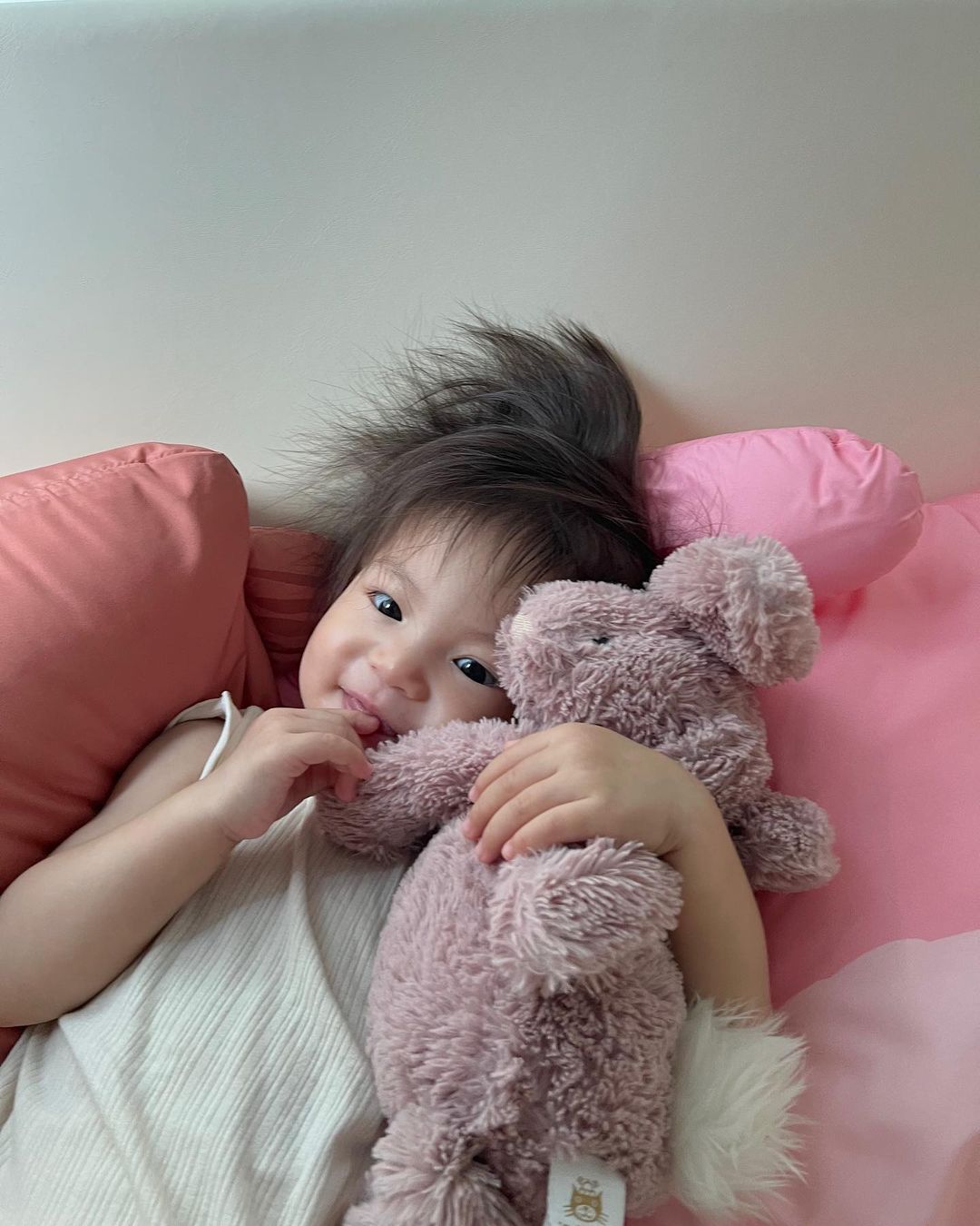 Thỏ bông của hội nhóc tỳ sinh ra từ vạch đích: có nguồn gốc tại Anh Quốc, giá từ 500k - 2 triệu đồng- Ảnh 7.