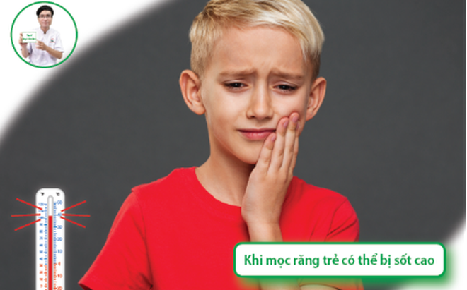 Dược sĩ Nguyễn Tiến Dũng: Giới thiệu cách hạ sốt cho trẻ bằng nước lá tía tô- Ảnh 1.