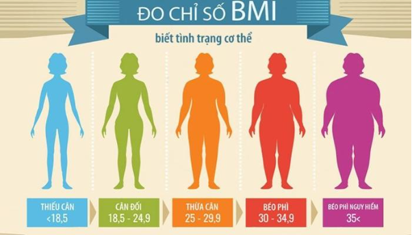 Máy Tính BMI - Công cụ tính BMI online cho kết quả chuẩn xác- Ảnh 2.