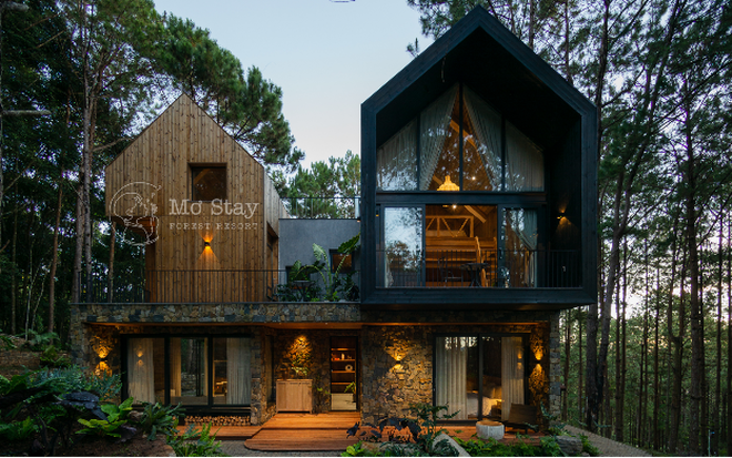 Tìm về thiên nhiên Đà Lạt nguyên bản tại Mơ Stay Forest Resort- Ảnh 1.