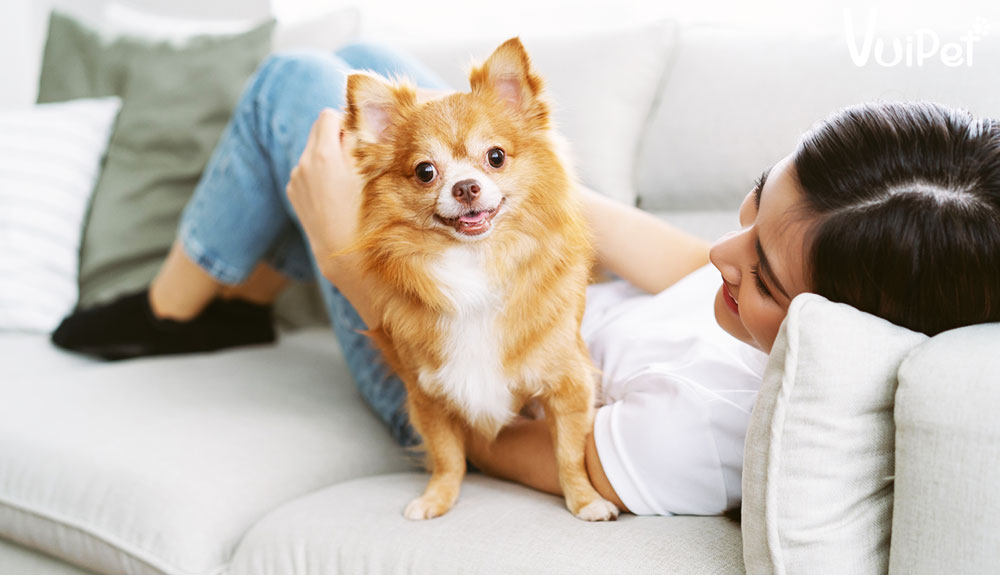 6 sản phẩm lau chùi vừa tốt lại rẻ, đạt hiệu quả gấp đôi khi dọn nhà mà chỉ tốn một nửa công sức- Ảnh 5.