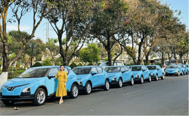 Doanh nghiệp Việt đầu tư hàng ngàn ô tô điện, tạo làn sóng chuyển đổi xanh mạnh mẽ- Ảnh 1. Doanh nghiệp Việt đầu tư hàng ngàn ô tô điện, tạo làn sóng chuyển đổi xanh mạnh mẽ- Ảnh 1.