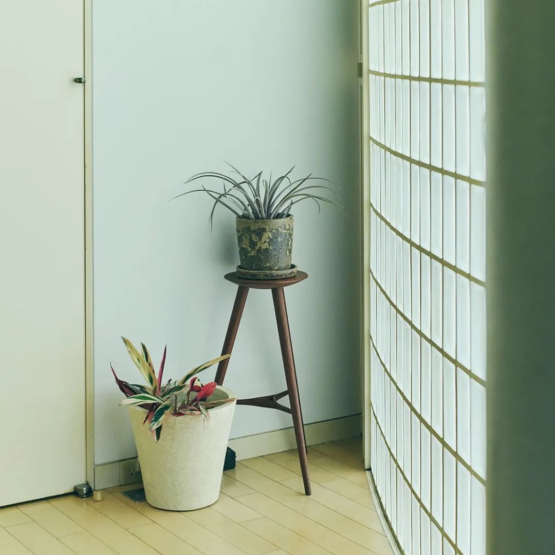 Ngôi nhà tràn ngập cây xanh đã khiến cuộc sống của bà mẹ trung niên này trở nên tươi đẹp hơn- Ảnh 9. Ngôi nhà tràn ngập cây xanh đã khiến cuộc sống của bà mẹ trung niên này trở nên tươi đẹp hơn- Ảnh 9.