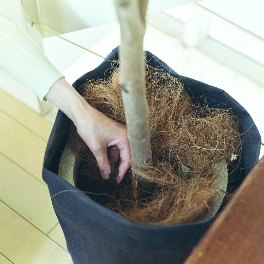 Ngôi nhà tràn ngập cây xanh đã khiến cuộc sống của bà mẹ trung niên này trở nên tươi đẹp hơn- Ảnh 5. Ngôi nhà tràn ngập cây xanh đã khiến cuộc sống của bà mẹ trung niên này trở nên tươi đẹp hơn- Ảnh 5.
