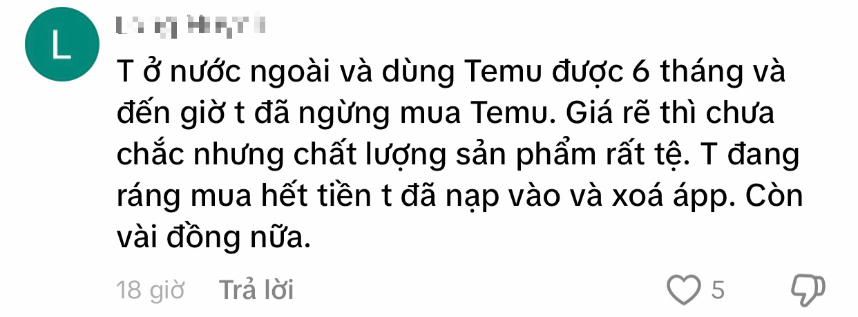 Sàn &quot;hot hit&quot; Temu tung mã giảm sập sàn nhưng dân tình vẫn chê quá tệ, vì sao?- Ảnh 8.