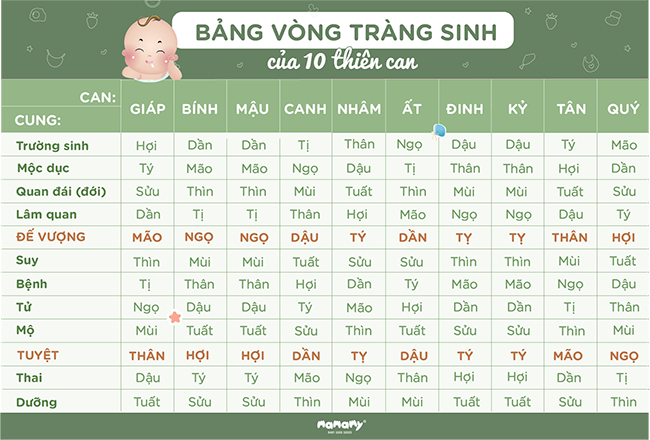 Tuổi con như thế nào thì được gọi là hợp tuổi ba mẹ, nếu "lỡ" bầu em bé khắc tuổi thì phải làm sao?- Ảnh 2.