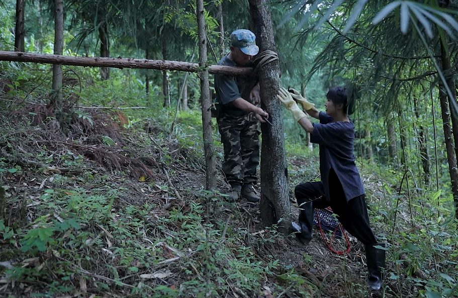 Lý Tử Thất trở lại: Chuyện "Tử khí đông lai" và triết lý chậm mà chắc- Ảnh 2. Lý Tử Thất trở lại: Chuyện "Tử khí đông lai" và triết lý chậm mà chắc- Ảnh 2.