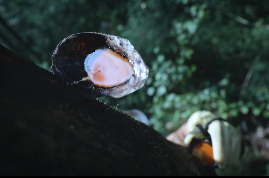 Lý Tử Thất trở lại: Chuyện "Tử khí đông lai" và triết lý chậm mà chắc- Ảnh 4. Lý Tử Thất trở lại: Chuyện "Tử khí đông lai" và triết lý chậm mà chắc- Ảnh 4.