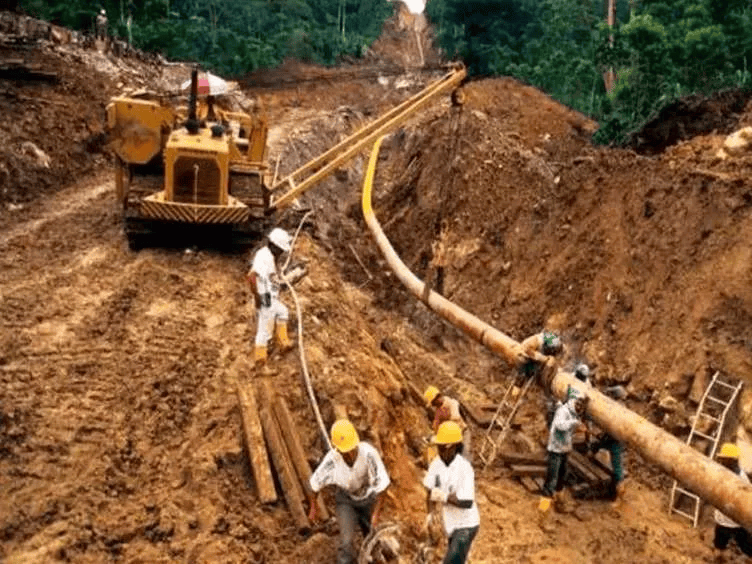 Đào đường, công nhân đụng độ trăn Anaconda khổng lồ có 'khối u' kỳ dị: Không thể tin về thứ nó đã nuốt- Ảnh 2.