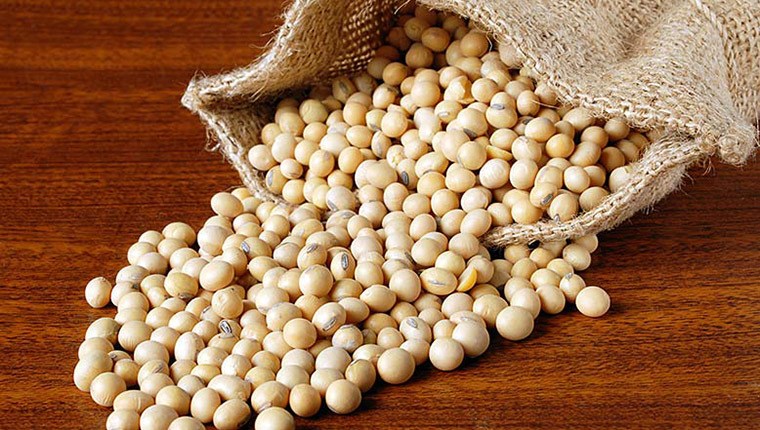 Loại hạt màu vàng giàu protein gấp đôi hạt chia, giá không quá 30.000 đồng/kg, tốt cho xương và tim- Ảnh 2. Loại hạt màu vàng giàu protein gấp đôi hạt chia, giá không quá 30.000 đồng/kg, tốt cho xương và tim- Ảnh 2.