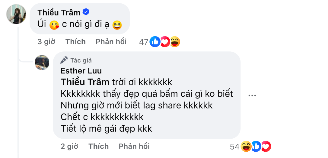 Trương Quỳnh Anh vướng tranh cãi vì 1 bình luận kém duyên với Thiều Bảo Trâm- Ảnh 3.