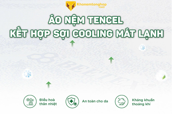 Giải mã "cơn sốt" nệm cao su thiên nhiên Beetex Cool Massage- Ảnh 2.