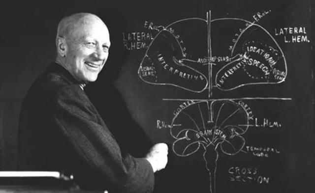 Bộ phận này chính là “bộ não thứ hai của cơ thể con người”: Cha mẹ nắm bắt sớm, con thông minh vượt trội- Ảnh 2. Bộ phận này chính là “bộ não thứ hai của cơ thể con người”: Cha mẹ nắm bắt sớm, con thông minh vượt trội- Ảnh 2.