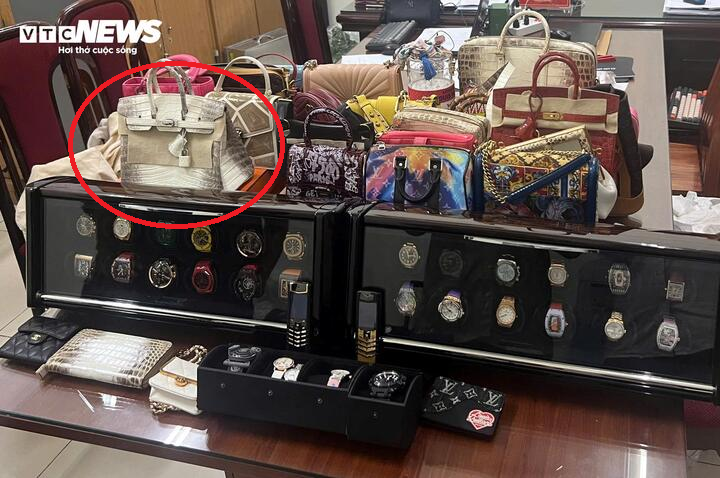 Hermès da cá sấu bạch tạng: Chiếc túi 10 tỷ đồng "oan trái" nhất Việt Nam, xuất hiện trong hàng loạt vụ việc chấn động- Ảnh 1. Hermès da cá sấu bạch tạng: Chiếc túi 10 tỷ đồng "oan trái" nhất Việt Nam, xuất hiện trong hàng loạt vụ việc chấn động- Ảnh 1.