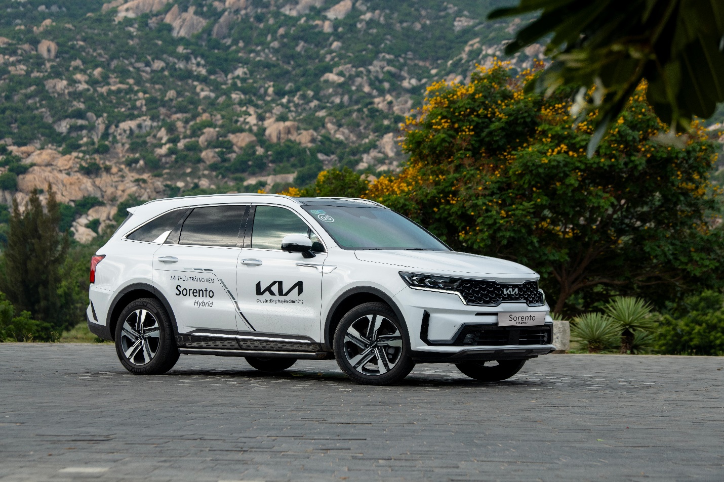 Kia tăng ưu đãi cho nhiều dòng xe trong tháng 12, cao nhất lên đến 110 triệu đồng- Ảnh 1.