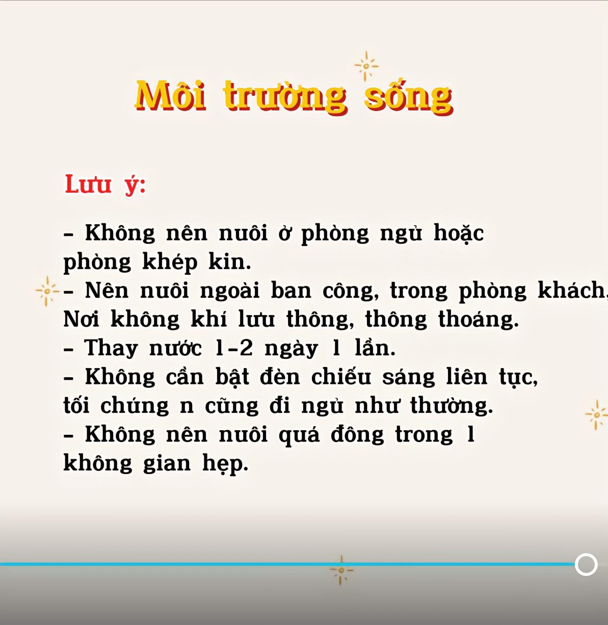 Hội mẹ bỉm khoe "biệt thự tại gia" của gà Rutin làm cho các con, trông thích mắt nhưng cách chăm nuôi không đơn giản?- Ảnh 8.