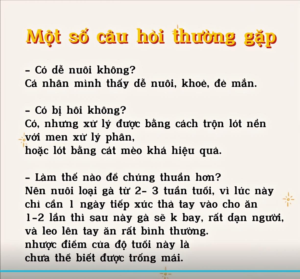 Hội mẹ bỉm khoe "biệt thự tại gia" của gà Rutin làm cho các con, trông thích mắt nhưng cách chăm nuôi không đơn giản?- Ảnh 9.