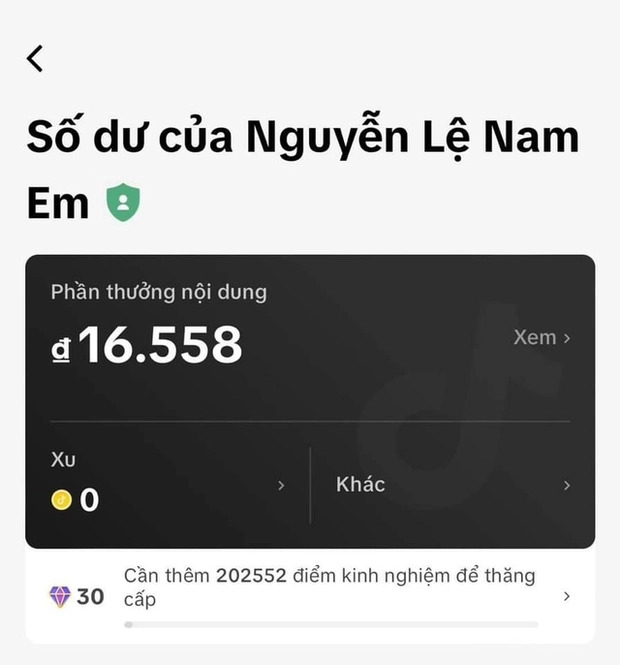 Nam Em trả giá đắt- Ảnh 1.