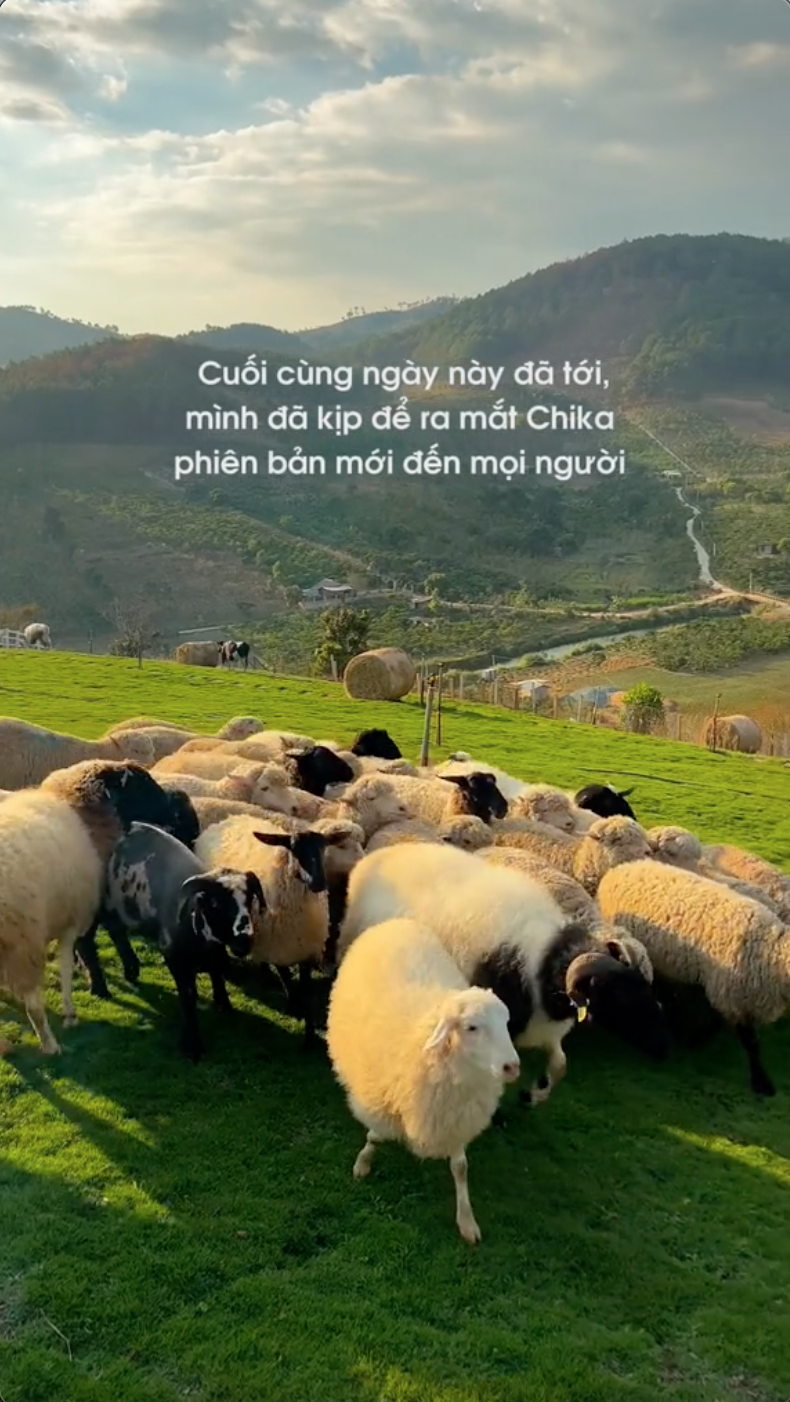 Chika Farm Đà Lạt bất ngờ thông báo trở lại đúng mùng 2 Tết, thêm nhiều cảnh check-in đẹp mê mẩn- Ảnh 2.