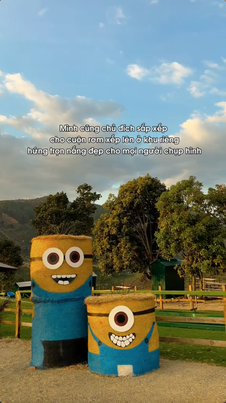 Chika Farm Đà Lạt bất ngờ thông báo trở lại đúng mùng 2 Tết, thêm nhiều cảnh check-in đẹp mê mẩn- Ảnh 4.
