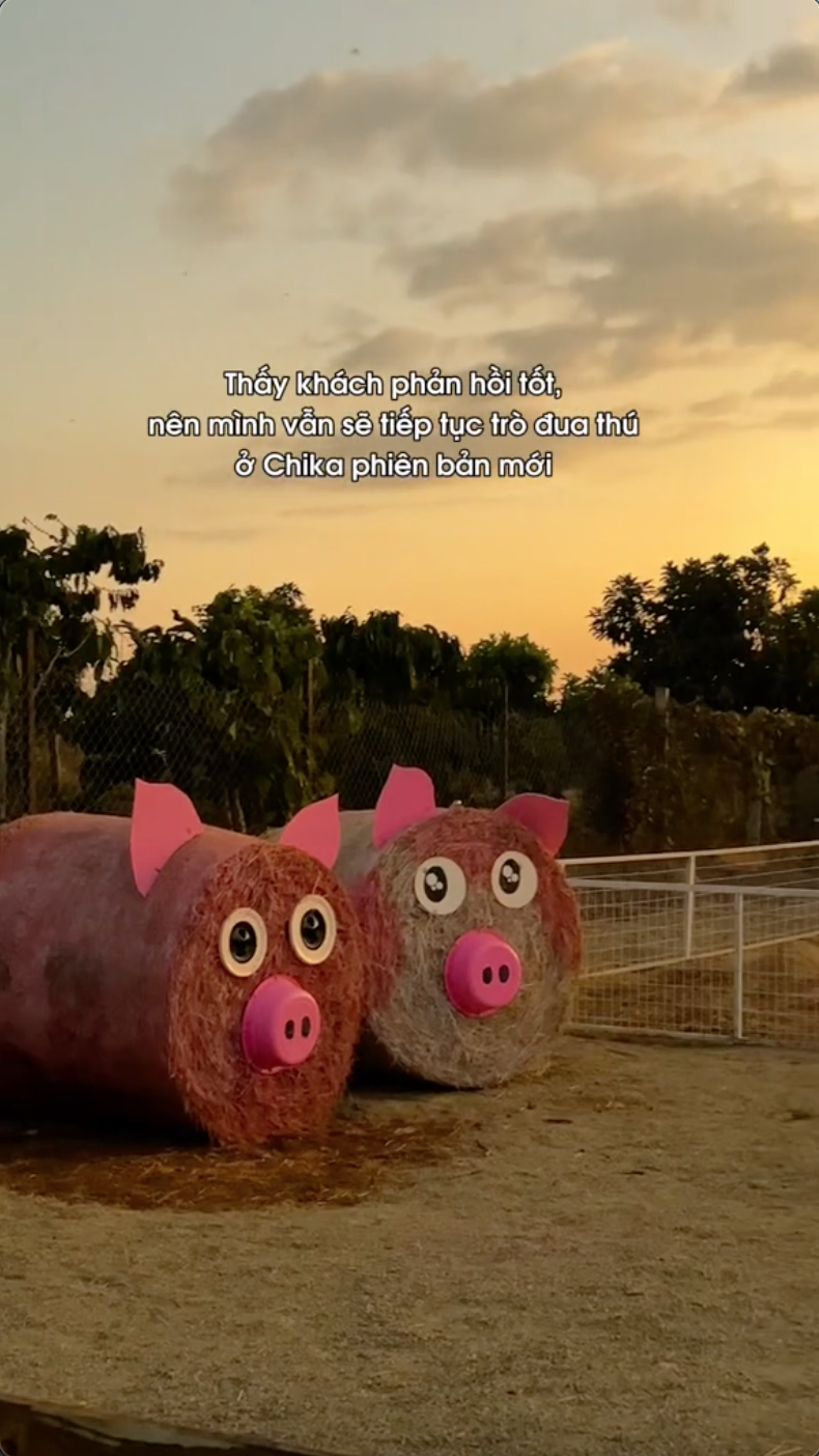 Chika Farm Đà Lạt bất ngờ thông báo trở lại đúng mùng 2 Tết, thêm nhiều cảnh check-in đẹp mê mẩn- Ảnh 5.