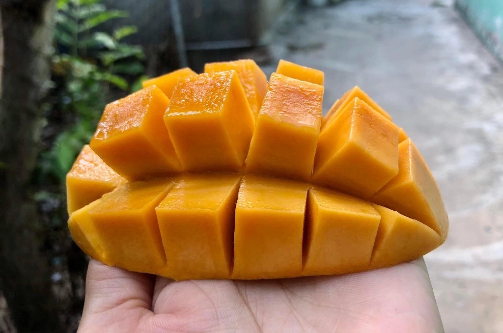 Loại quả của Việt Nam được cựu Đại sứ Mỹ khen ngợi: Vị ngọt nhưng lại là "thuốc" hạ đường huyết, bổ máu hiệu quả- Ảnh 3.