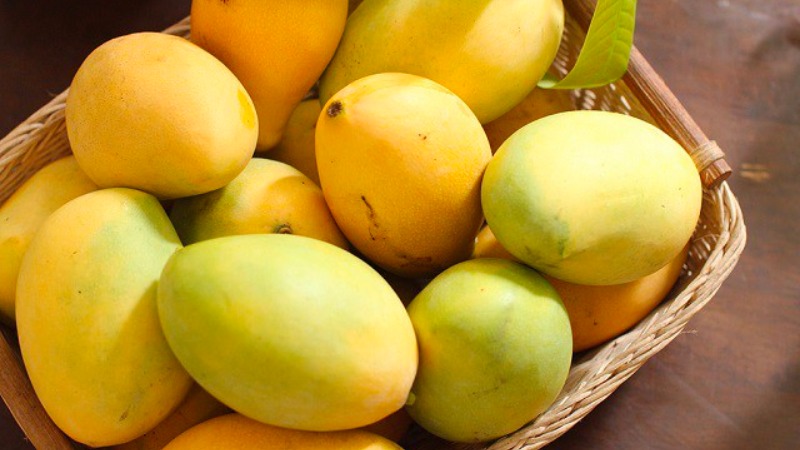Loại quả của Việt Nam được cựu Đại sứ Mỹ khen ngợi: Vị ngọt nhưng lại là "thuốc" hạ đường huyết, bổ máu hiệu quả- Ảnh 2.